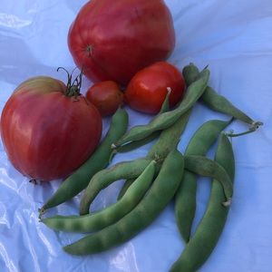 Meet your Posher, Ana